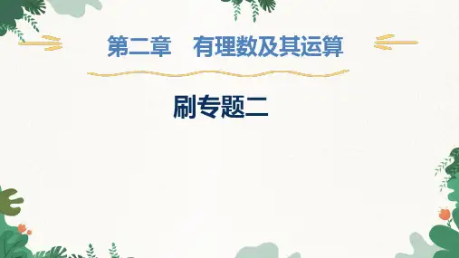 第2章 有理数及其运算-专题练 北师大版七年级数学上册课件
