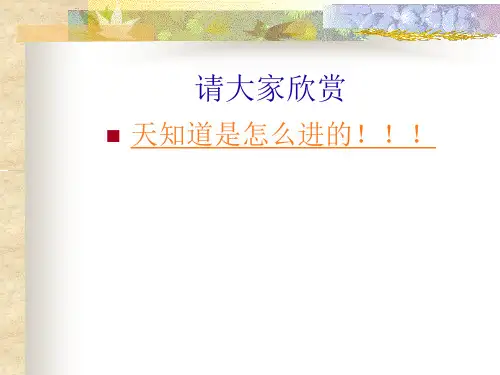 篮球竞赛规则-违例讲解学习ppt课件