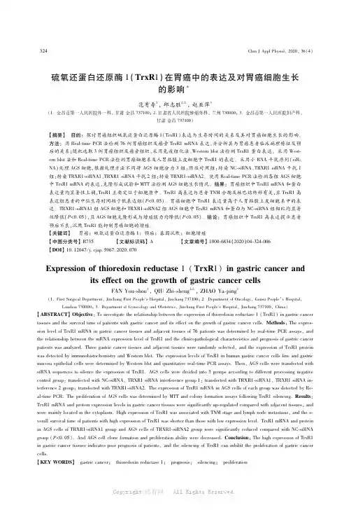 硫氧还蛋白还原酶1（TrxR1）在胃癌中的表达及对胃癌细胞生长的影响