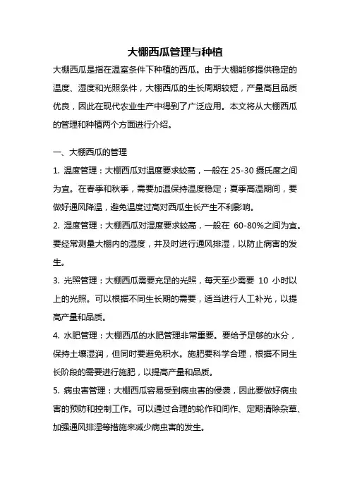 大棚西瓜管理与种植
