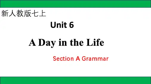 Unit 6 Section A(Grammar Focus)课件-人教版英语七年级上册