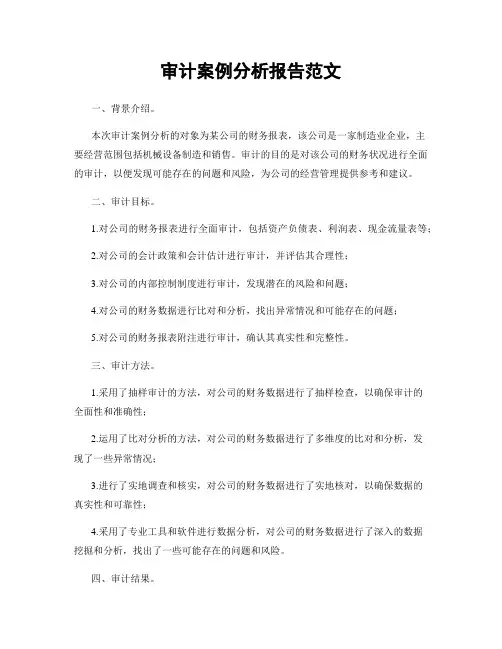 审计案例分析报告范文