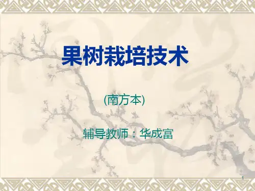果树栽培技术PPT课件