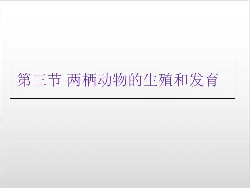 新人教版生物《两栖动物的生殖和发育》优秀PPT课件1