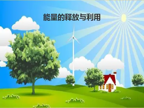 苏科版七年级上册生物《第1节 能量的释放和利用》(一等奖课件)