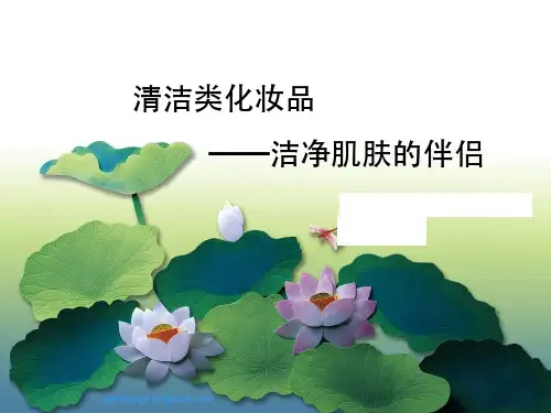 清洁类化妆品——洁净肌肤的伴侣