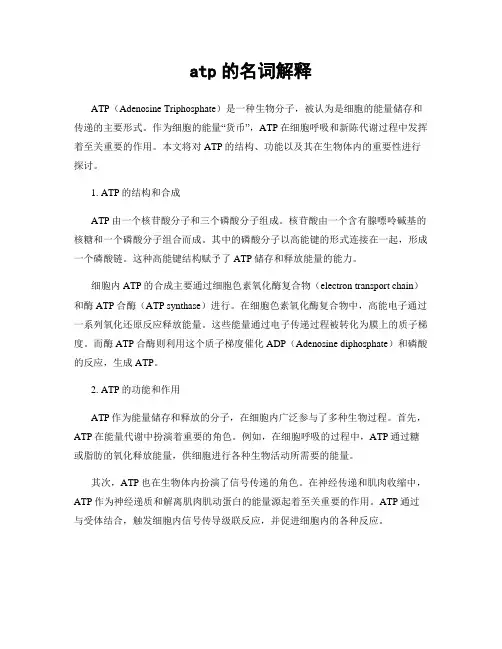 atp的名词解释