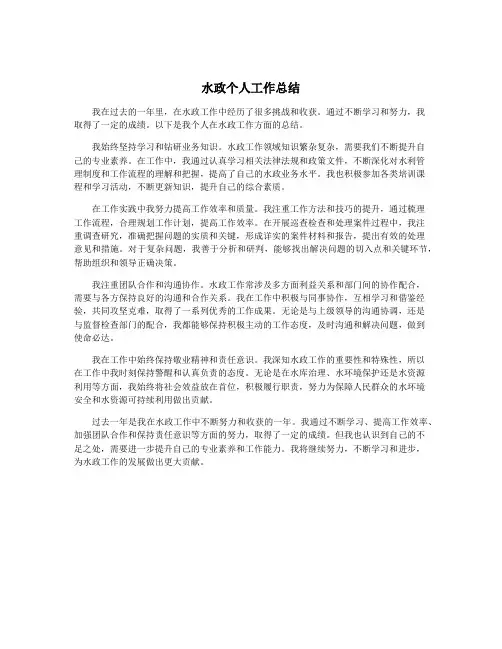 水政个人工作总结