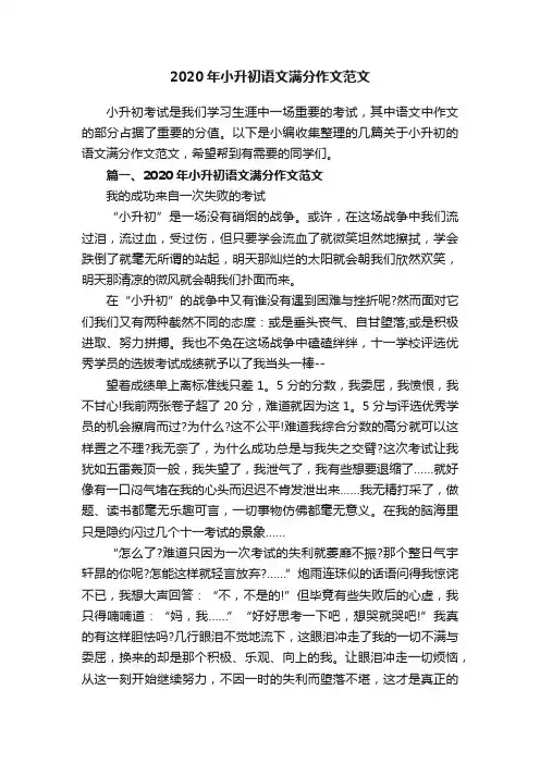 2020年小升初语文满分作文范文