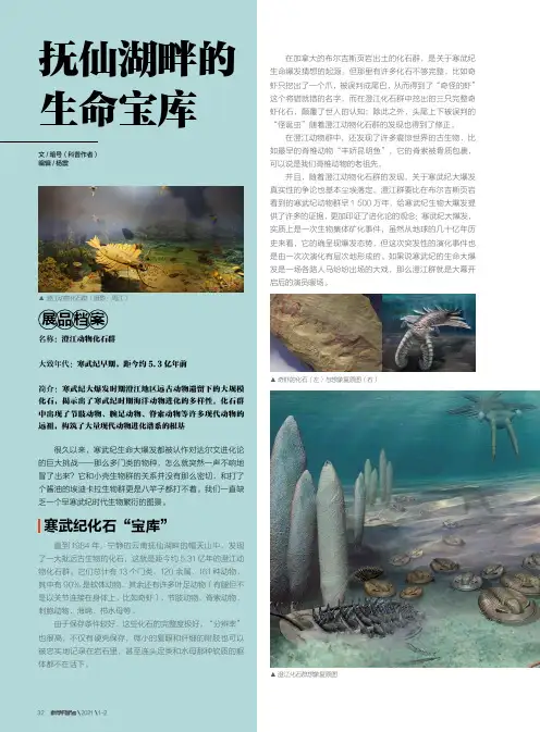 抚仙湖畔的生命宝库