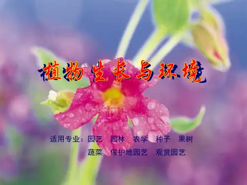 植物细胞(基本结构)课件