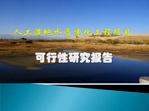 人工湿地水质净化工程项目可行性研究报告
