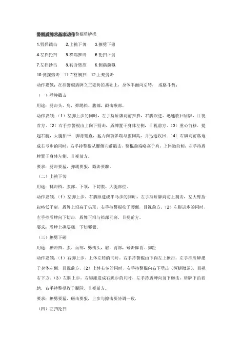 警棍盾牌术基本动作