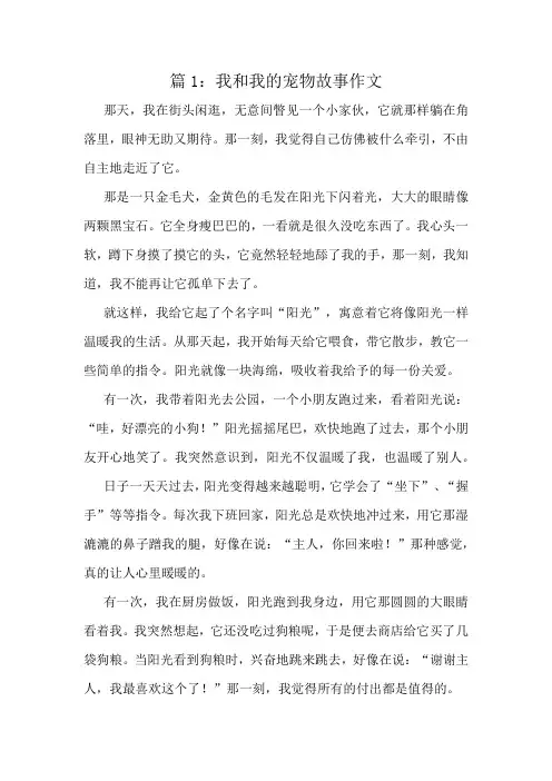 我和我的宠物故事作文精选9篇