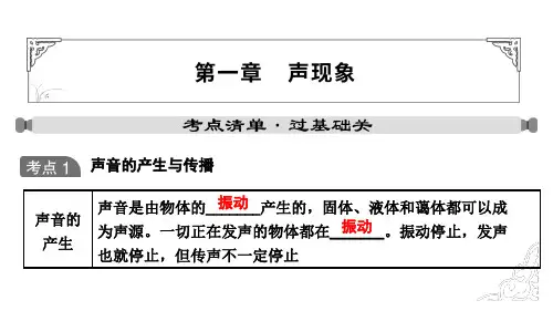 中考物理一轮复习课件：第一章 声现象