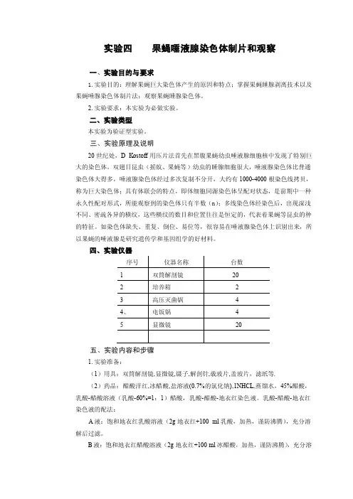 果蝇唾液腺染色体制片和观察