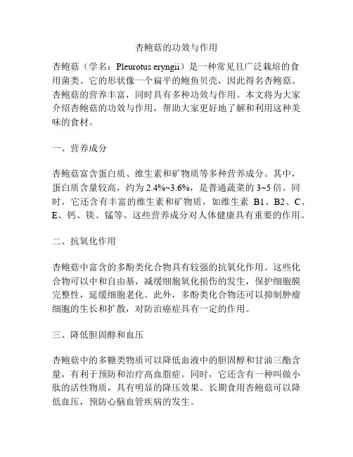 杏鲍菇的功效与作用