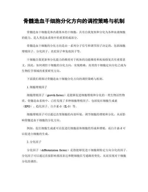 骨髓造血干细胞分化方向的调控策略与机制