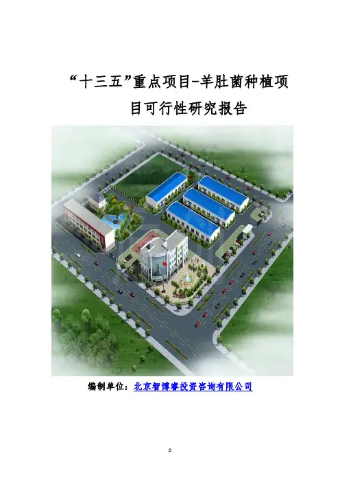“十三五”重点项目-羊肚菌种植项目可行性研究报告