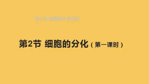6.2 细胞的分化(第一课时)-教学同步精美课件(人教版2019必修1)