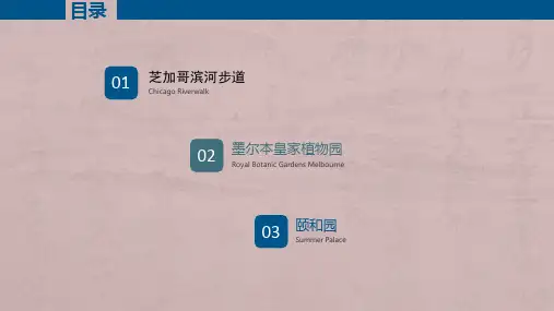 国内外城市公共空间案例分析