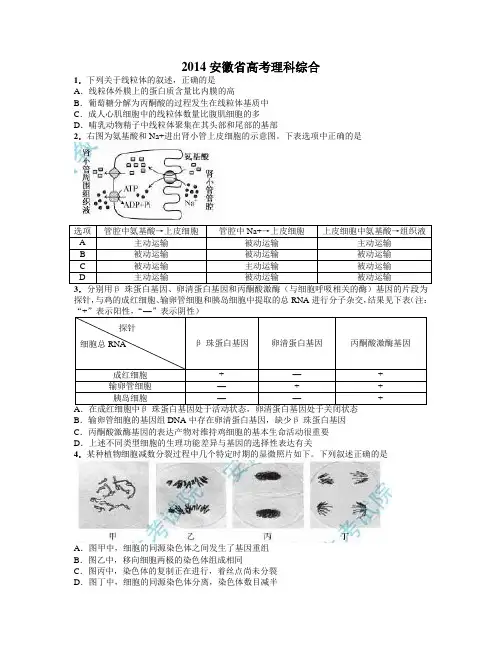 2014安徽高考理综试卷WORD版