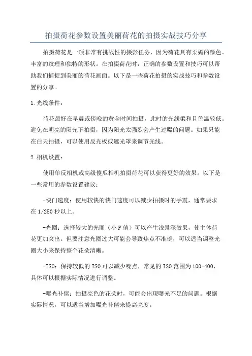 拍摄荷花参数设置美丽荷花的拍摄实战技巧分享
