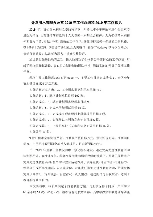 工作总结-计划用水管理办公室2019年工作总结和2019年工作意见 精品