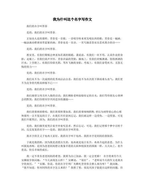 我为什叫这个名字写作文