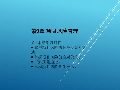 项目风险管理PPT课件