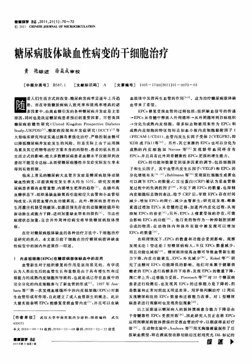 糖尿病肢体缺血性病变的干细胞治疗