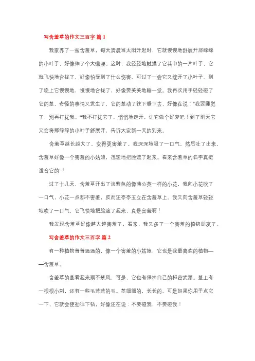 写一种植物含羞草三百字