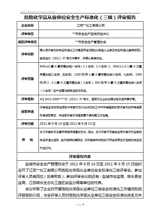 危险化学品从业单位安全生产标准化评审报告