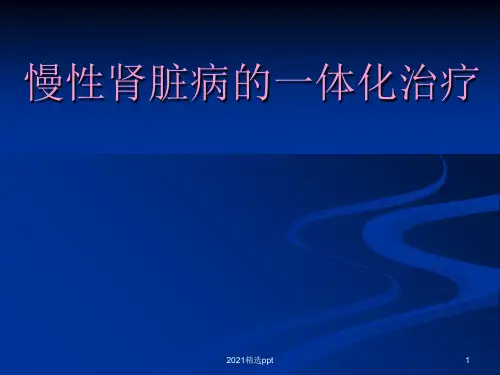 慢性肾脏病的一体化治疗ppt课件