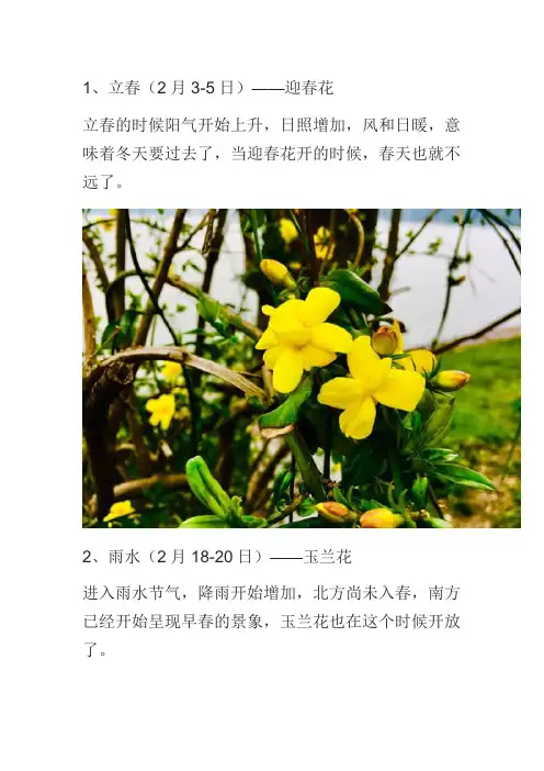 二十四节气花朵