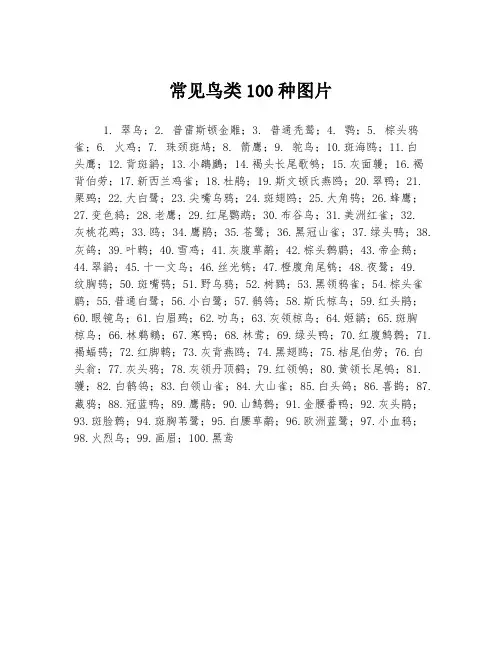 常见鸟类100种图片