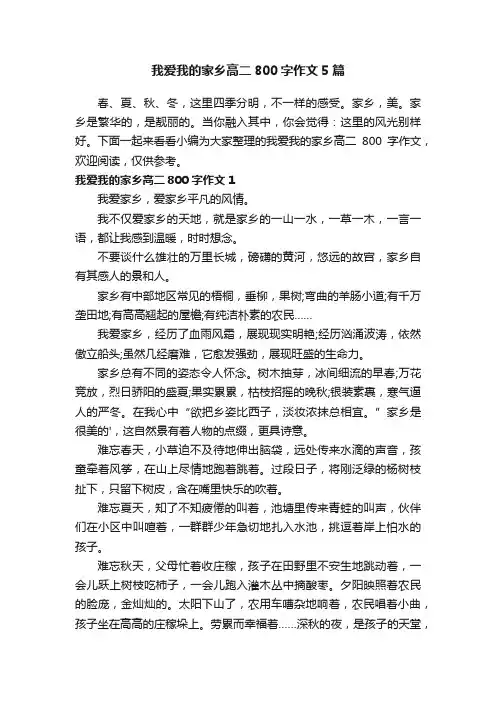 我爱我的家乡高二800字作文5篇