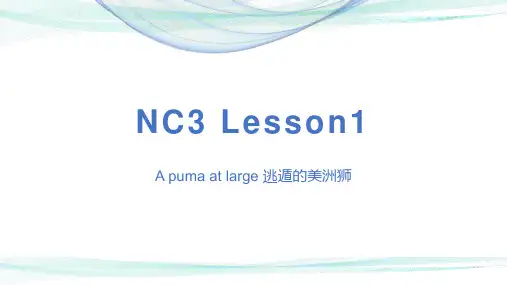 新概念英语第三册Lesson1APumaatLarge讲解课件