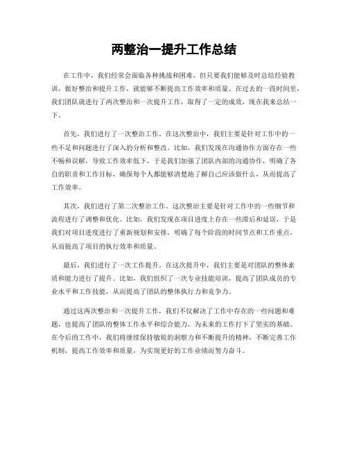 两整治一提升工作总结