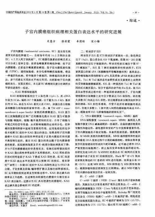 子宫内膜癌组织病理相关蛋白表达水平的研究进展