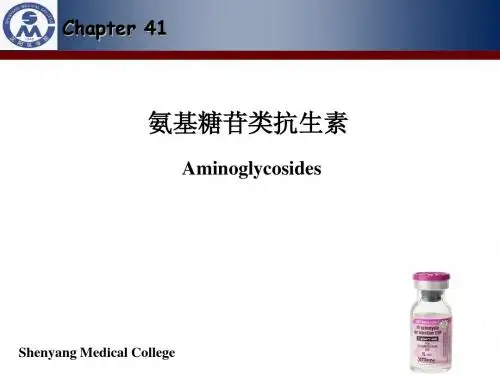 氨基糖苷类抗生素