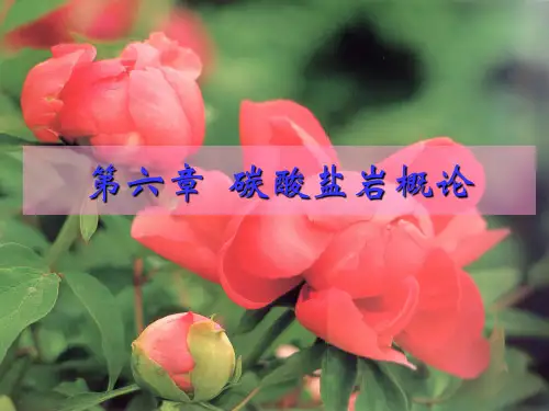 12-第九章  碳酸盐岩概论
