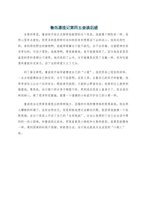 鲁迅漂流记第四五章读后感