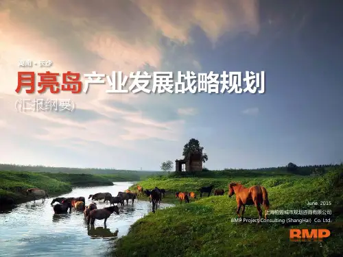 长沙月亮岛产业发展战略规划