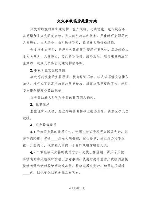火灾事故现场处置方案(6篇)