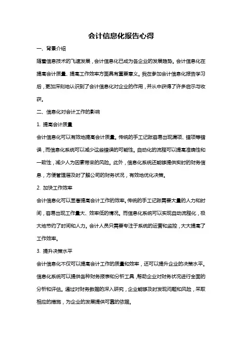 会计信息化报告心得