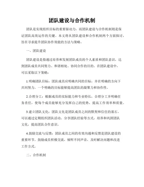团队建设与合作机制