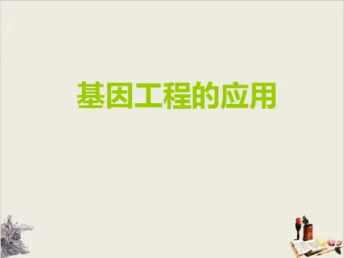 人教版高中生物选修三：基因工程的应用PPT
