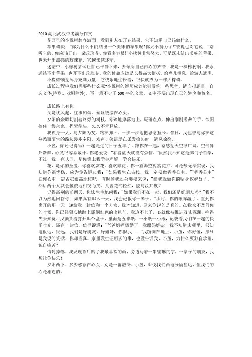 武汉市中考满分作文-成长路上有你