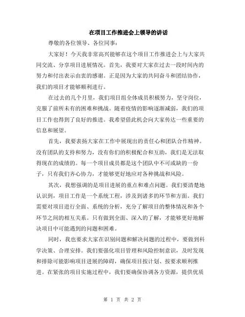 在项目工作推进会上领导的讲话
